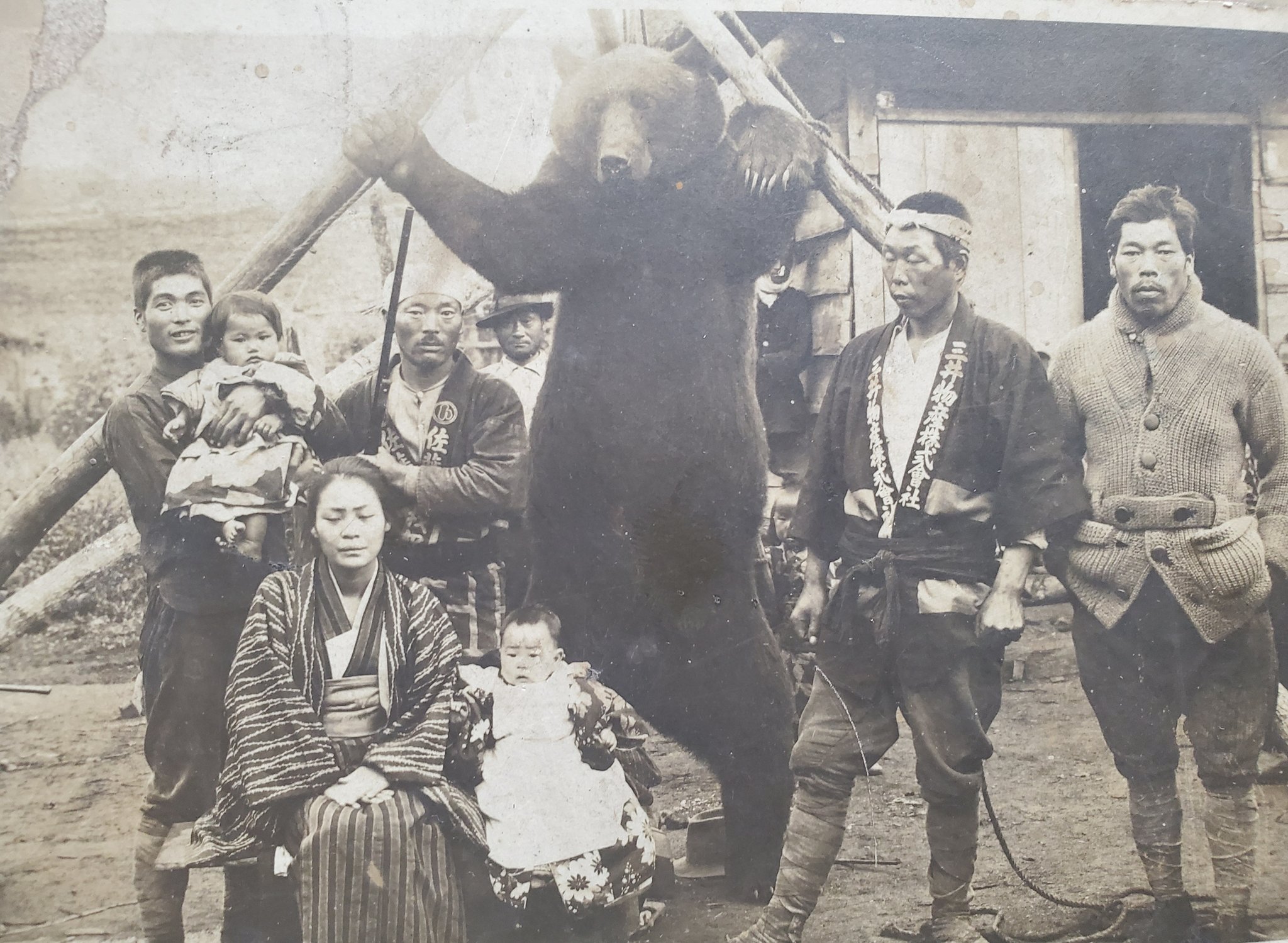 bear.jpg