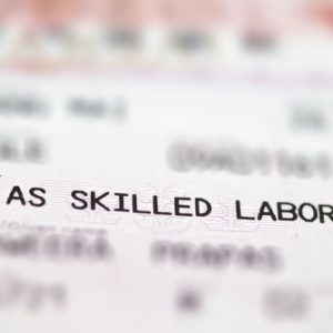 [text] As skilled labor