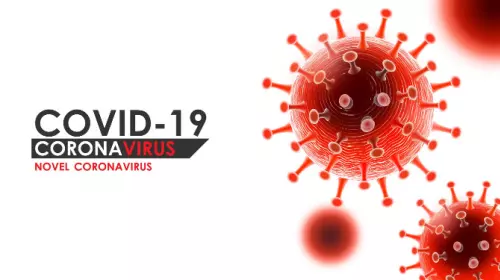 COVID-19-related Information in Japan