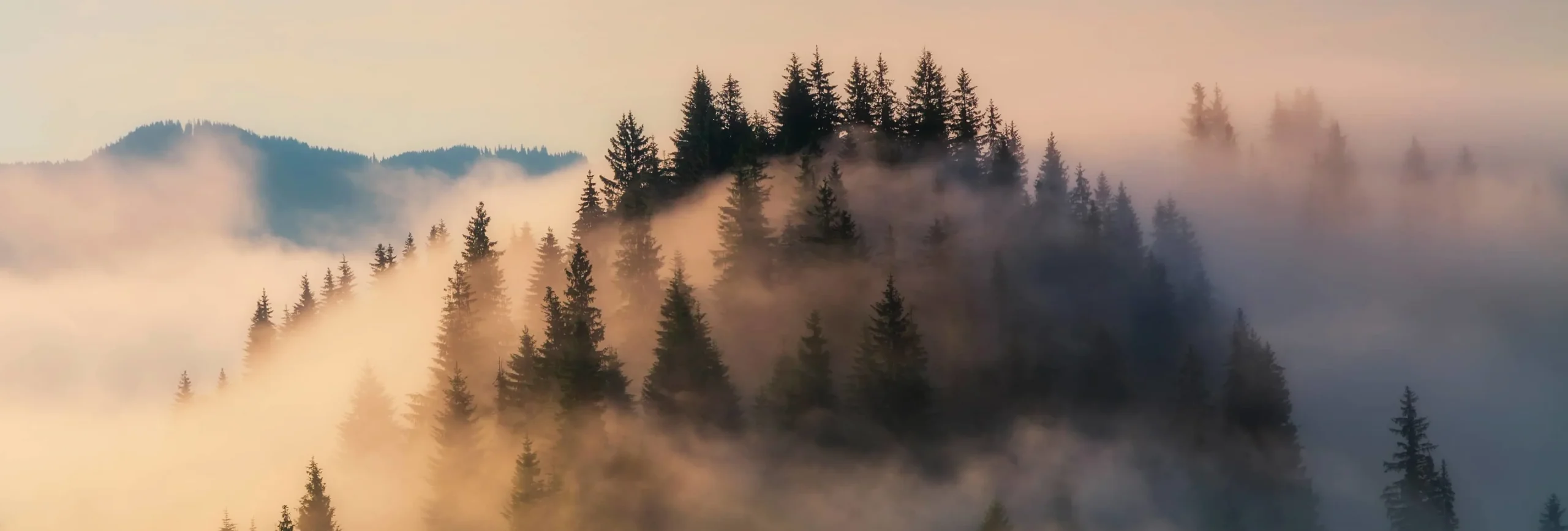 GettyImages-918484266_Homepage