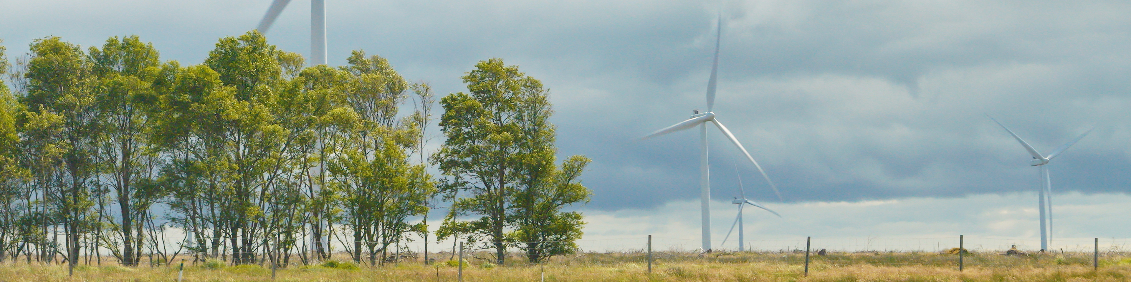 ESGParentService_Banner