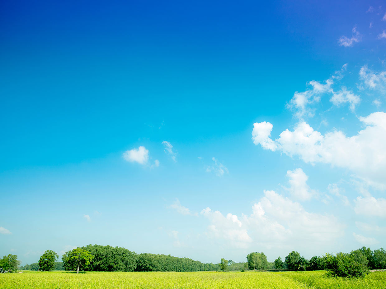 GHG排出量管理支援