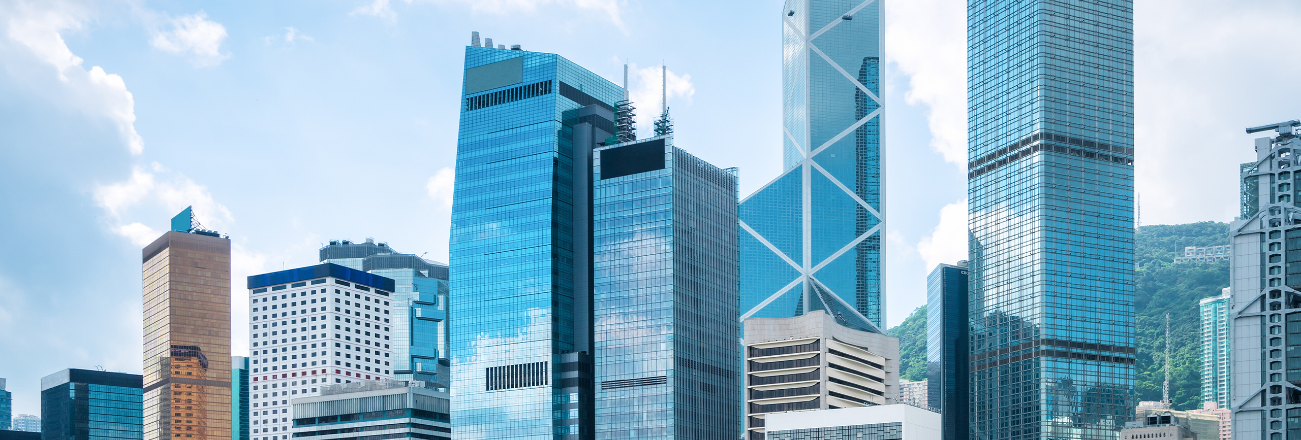 BusinessManagement_Banner