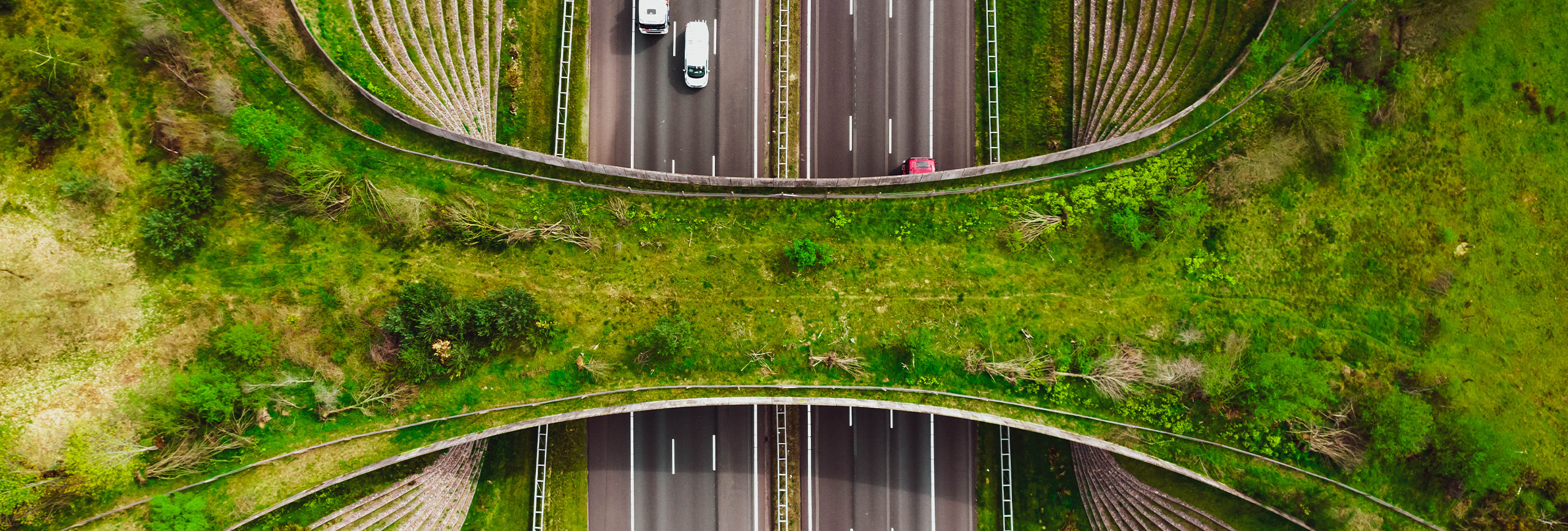 CDP開示支援_Banner