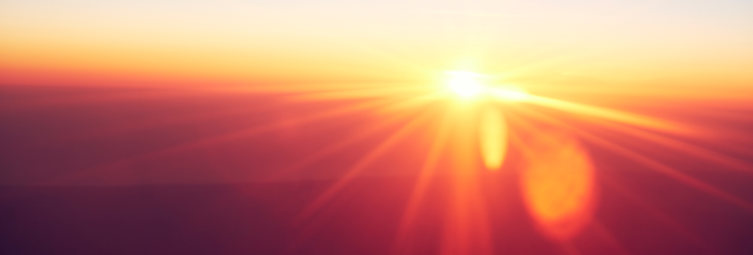 HRDueDilligence_Banner