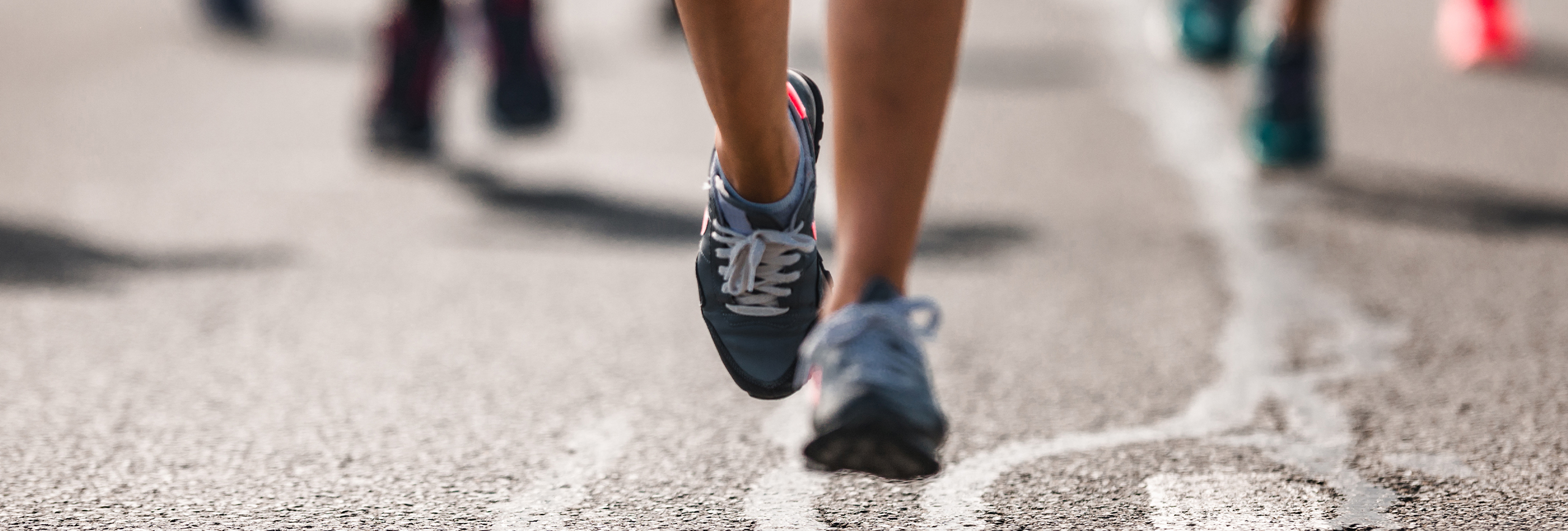 HumanRightsDueDilligence_Banner