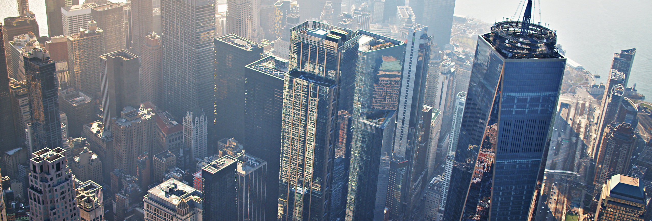 Reorganization_Banner