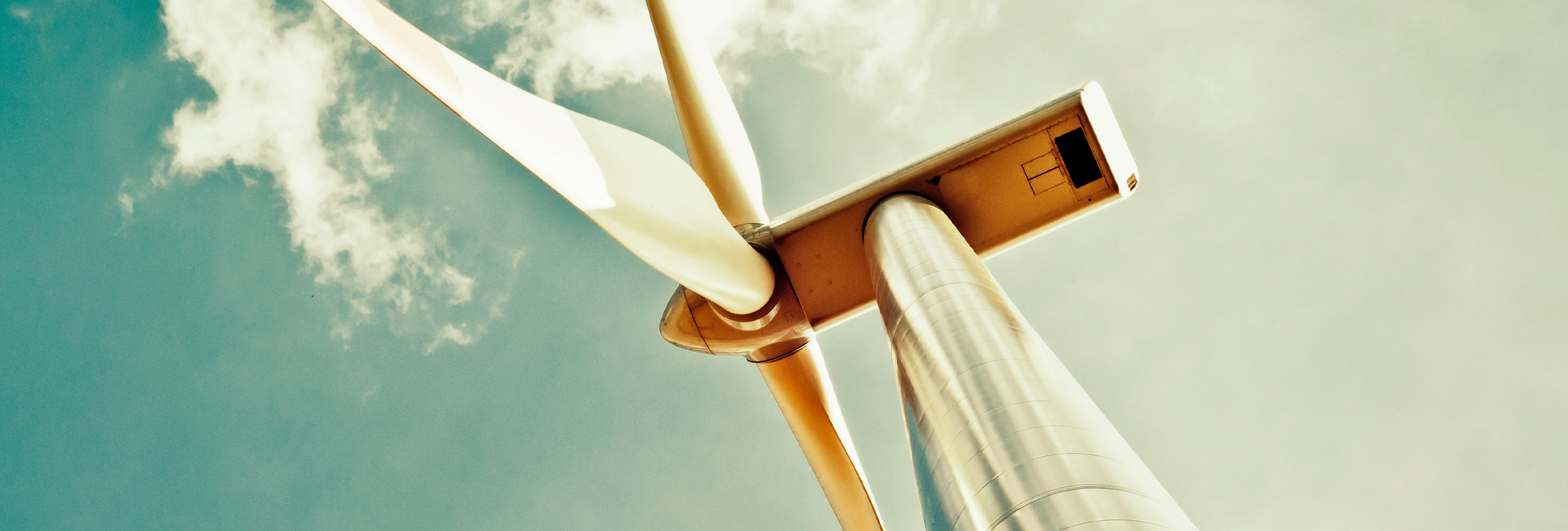 SpecifiedSkillVisa_Banner