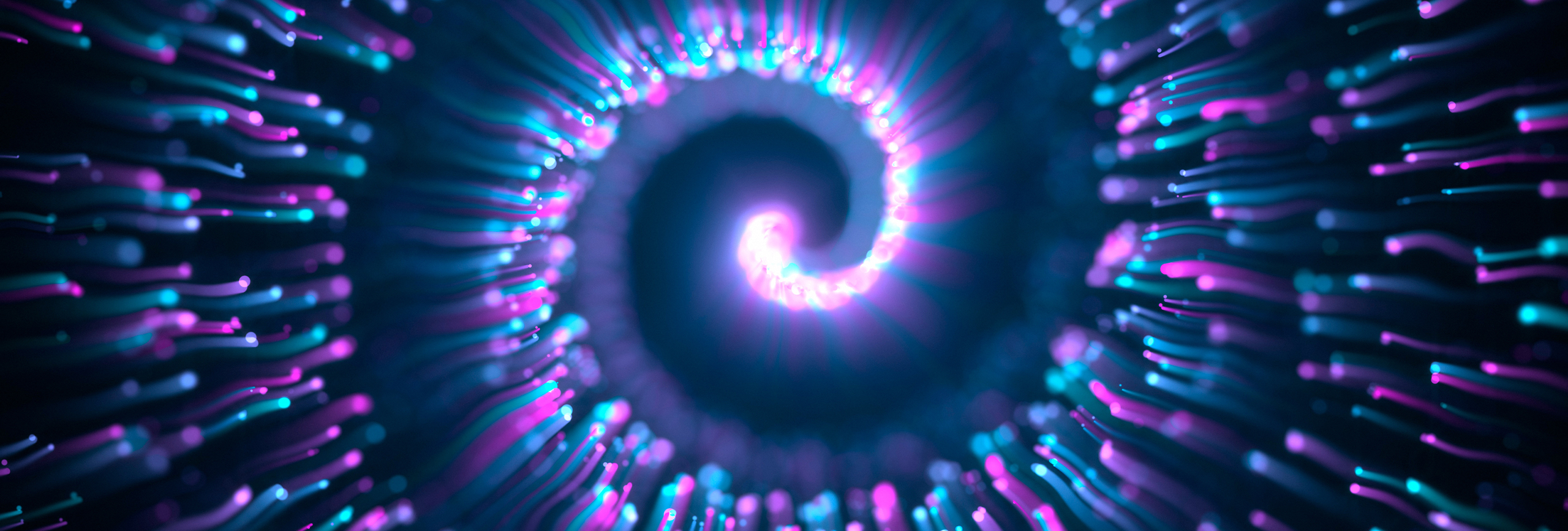 ManagementAdvisory_Banner