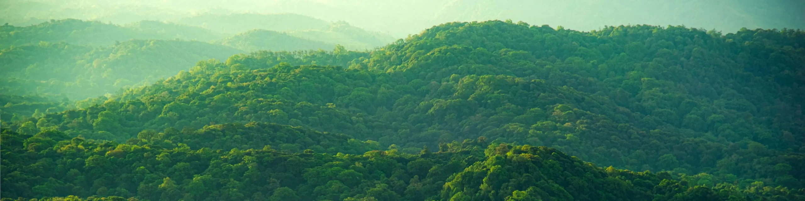 GettyImages-1325384339_real world_Subpage