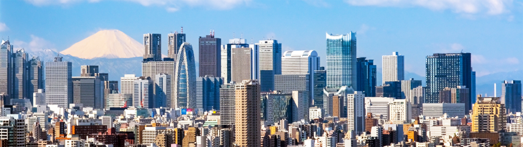 新宿事務所概要
