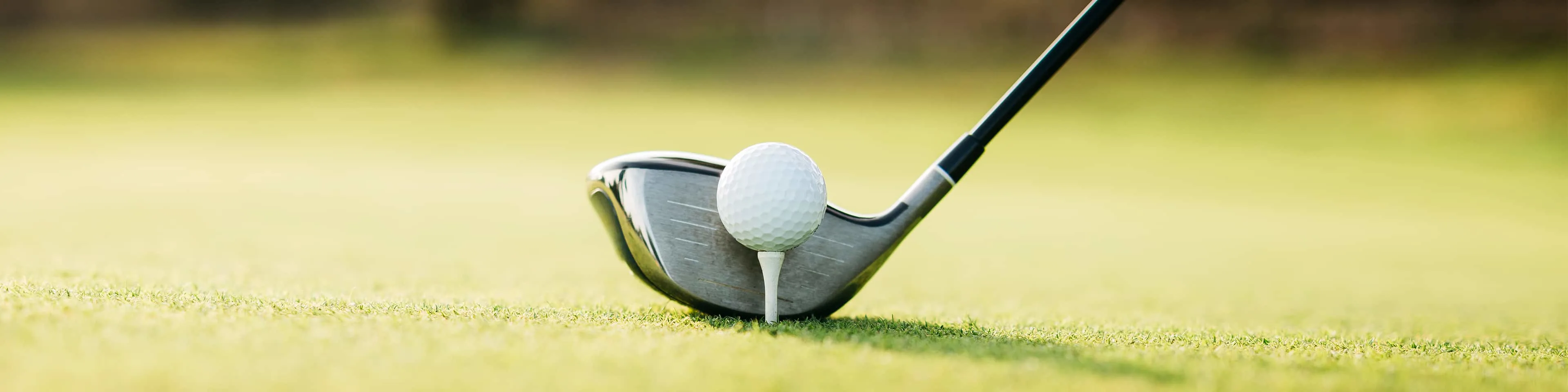 Consumer_entertainment_recreation_rsm-banner-sub-page_12