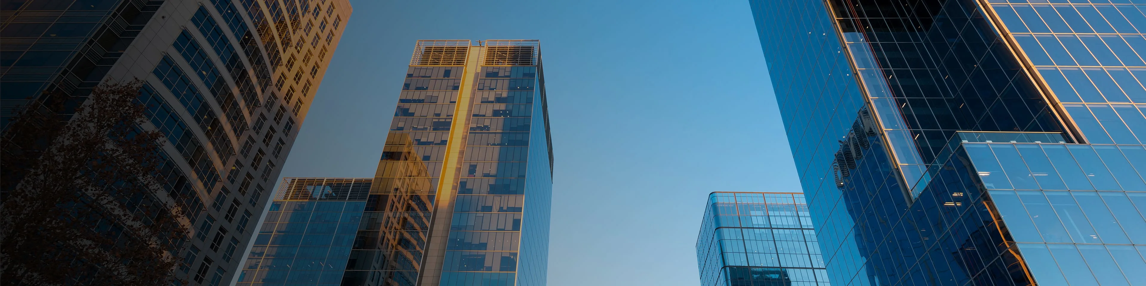 Private-Equity-Services_sector-page-new-hero-banner-3840x960px