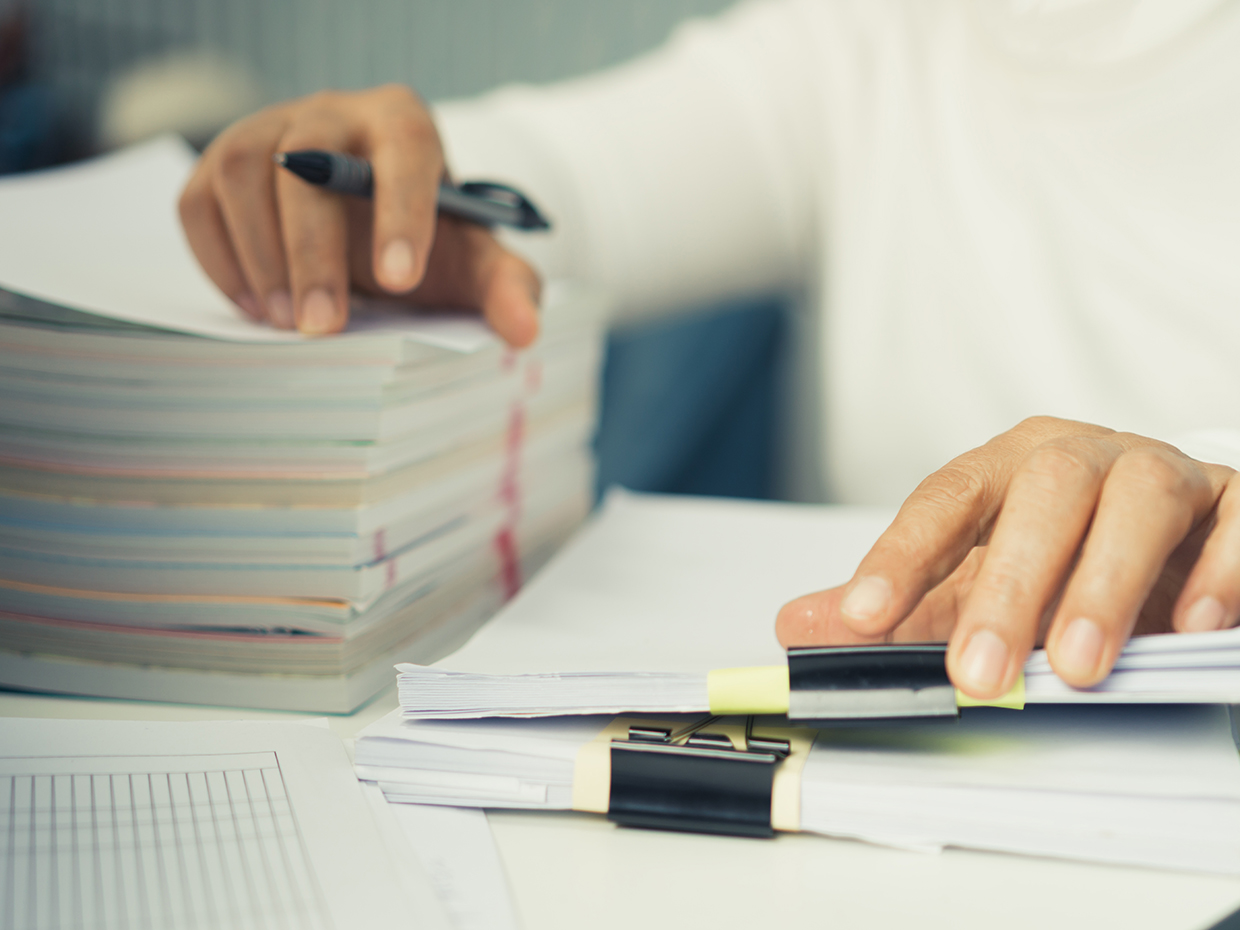 長谷川 祐哉　Yuya Hasegawa