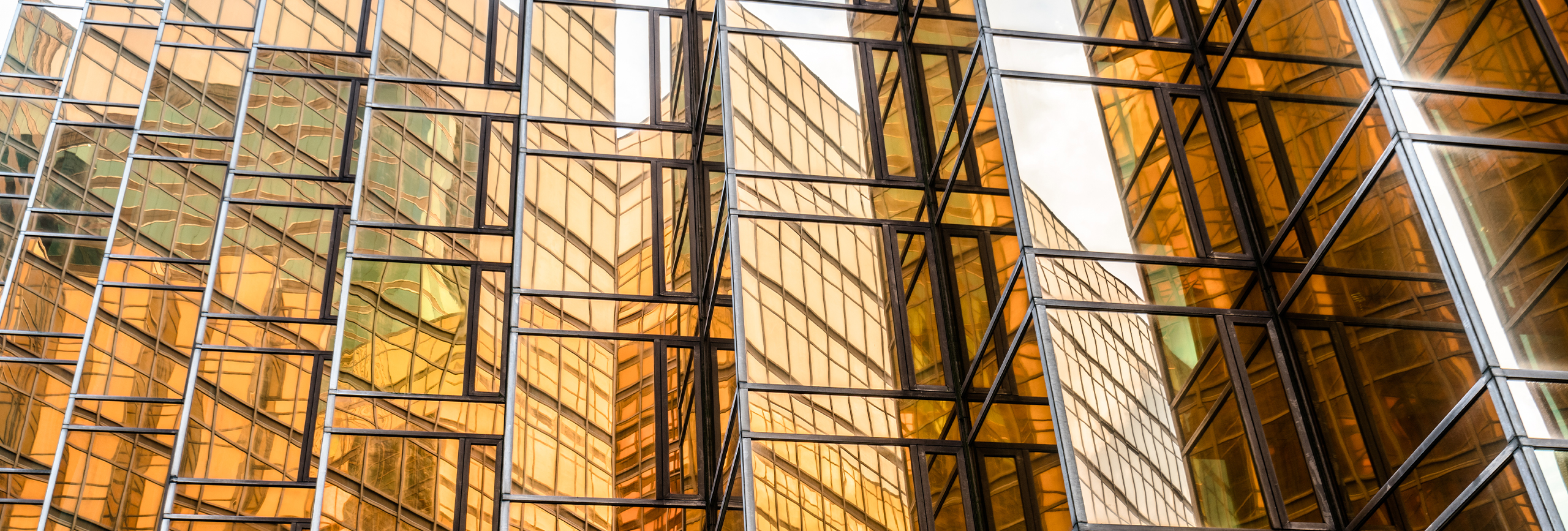 TaxAdministrator_Banner