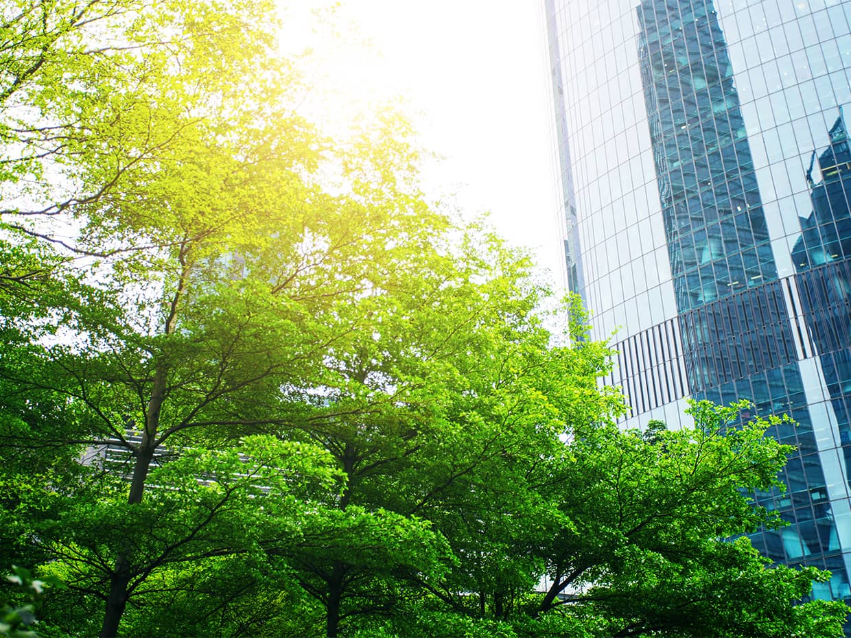 前川 研吾　Kengo Maekawa