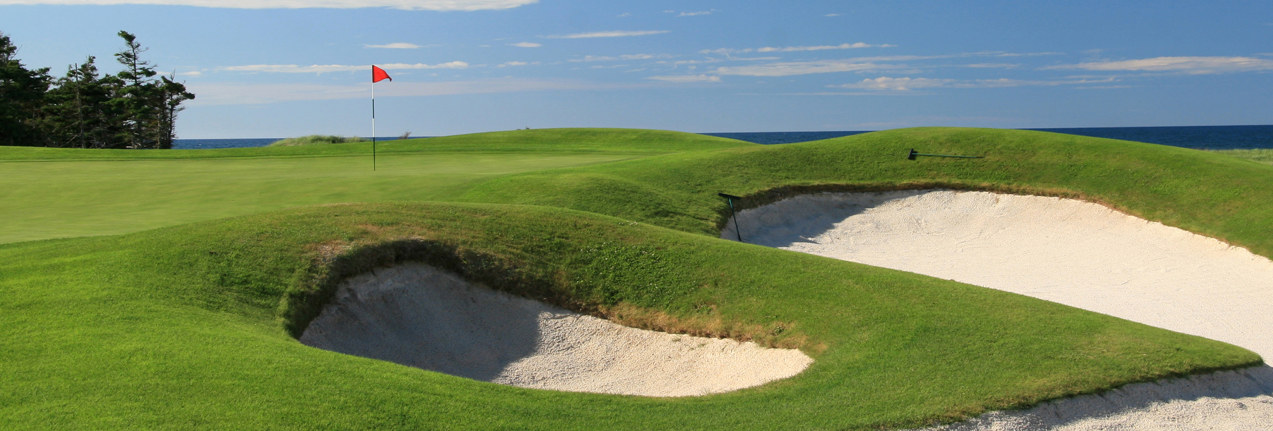 スポーツビジネス支援-_banner